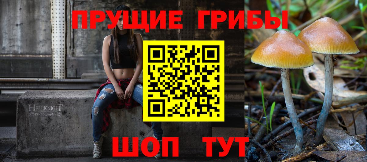 Галлюциногенные грибы MAGIC MUSHROOMS  Вход с VPN  Галлюциногенные грибы Psilocybe  Усть-Илимск 